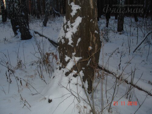DSC04664_r